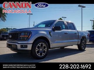 2024 Ford F-150 for sale in Orange TX