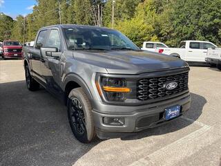 2024 Ford F-150 for sale in Dothan AL