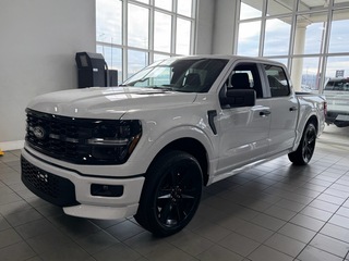 2025 Ford F-150 for sale in Knoxville TN