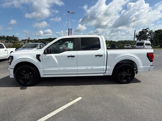 2026 Ford F-150 for sale in Dandridge TN