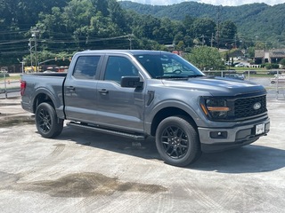 2025 Ford F-150 for sale in Waynesville NC