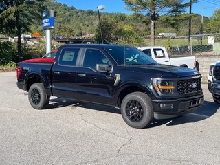 2025 Ford F-150 for sale in Canton NC