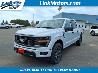 2025 Ford F-150 for sale in Minong WI