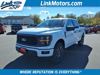 2025 Ford F-150 for sale in Minong WI