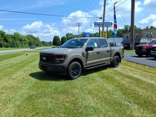 2025 Ford F-150 for sale in Cortland OH