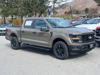 2025 Ford F-150 for sale in Canton NC