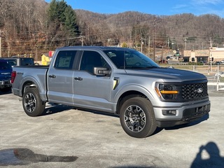 2025 Ford F-150 for sale in Waynesville NC