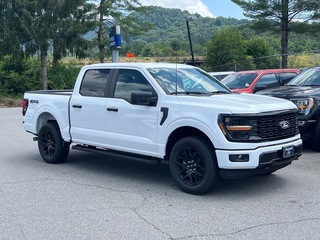 2025 Ford F-150 for sale in Canton NC