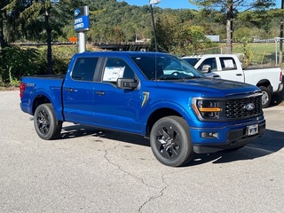 2025 Ford F-150 for sale in Canton NC