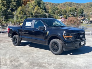 2025 Ford F-150 for sale in Waynesville NC