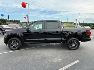 2026 Ford F-150 for sale in Dandridge TN