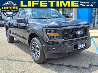 2024 Ford F-150 for sale in Fowlerville MI
