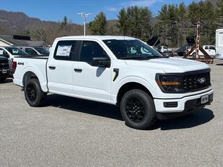 2025 Ford F-150 for sale in Canton NC