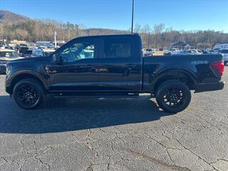 2024 Ford F-150 for sale in Lenoir NC