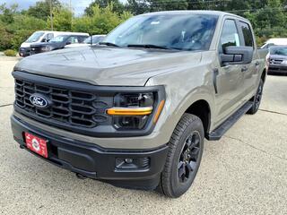 2025 Ford F-150 for sale in Burlington WI