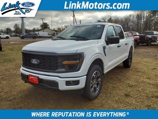 2024 Ford F-150 for sale in Minong WI