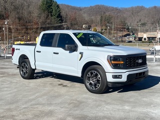 2025 Ford F-150 for sale in Waynesville NC