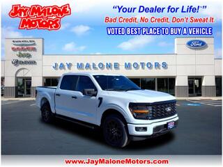2025 Ford F-150 for sale in Hutchinson MN