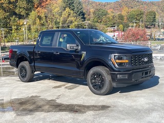 2025 Ford F-150 for sale in Waynesville NC