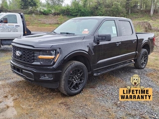 2024 Ford F-150 for sale in Bristol TN