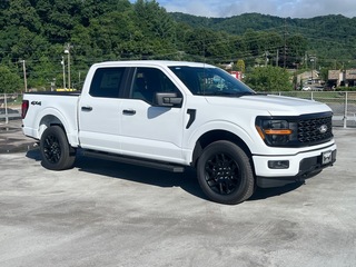 2025 Ford F-150 for sale in Waynesville NC