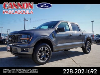 2024 Ford F-150 for sale in Orange TX