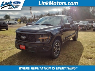 2024 Ford F-150 for sale in Minong WI