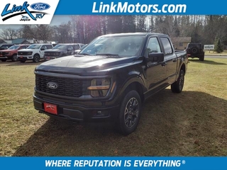 2024 Ford F-150 for sale in Minong WI