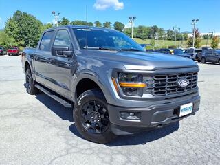2025 Ford F-150 for sale in Salem VA