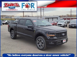 2024 Ford F-150 for sale in Zumbrota MN