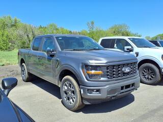 2025 Ford F-150 for sale in Hutchinson MN