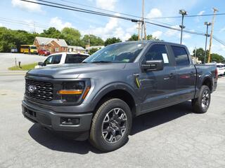 2024 Ford F-150 for sale in Martinsburg WV