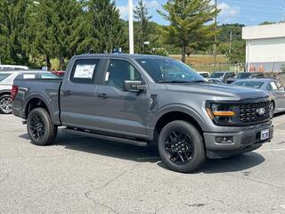 2024 Ford F-150 for sale in Canton NC