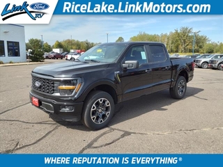 2024 Ford F-150 for sale in Rice Lake WI