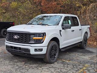 2024 Ford F-150 for sale in Lenoir NC