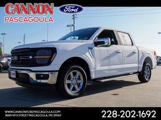 2024 Ford F-150 for sale in Orange TX
