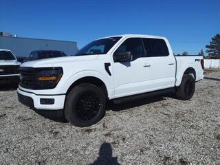 2024 Ford F-150 for sale in Dundee MI