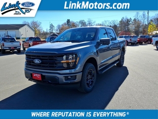 2025 Ford F-150 for sale in Minong WI