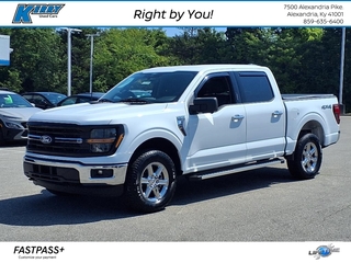 2024 Ford F-150 for sale in Alexandria KY