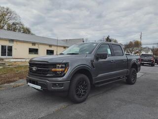 2024 Ford F-150 for sale in Martinsburg WV