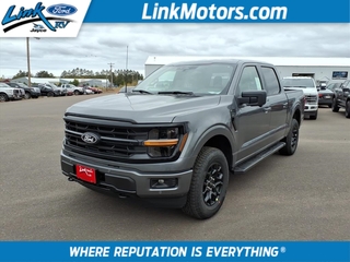 2025 Ford F-150 for sale in Minong WI