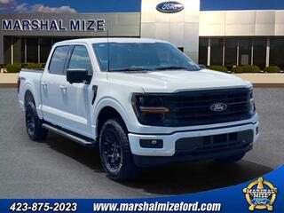 2024 Ford F-150 for sale in Hixson TN