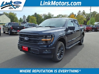 2025 Ford F-150 for sale in Minong WI