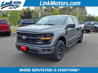 2025 Ford F-150 for sale in Minong WI