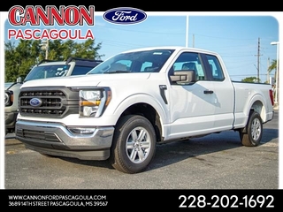 2023 Ford F-150 for sale in Orange TX