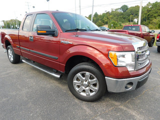 2014 Ford F-150 for sale in Clarksville TN