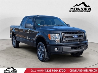 2014 Ford F-150 for sale in Mcdonald TN