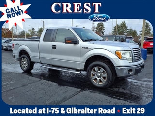 2010 Ford F-150 for sale in Flat Rock MI