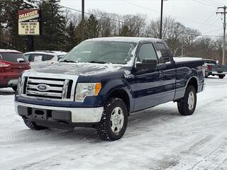 2010 Ford F-150 for sale in Spring Lake MI