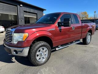 2010 Ford F-150 for sale in Jackson MI